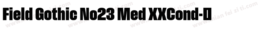 Field Gothic No23 Med XXCond字体转换